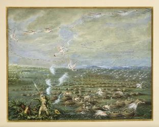 Chasse au flamant rose en Amérique du Sud, 1856